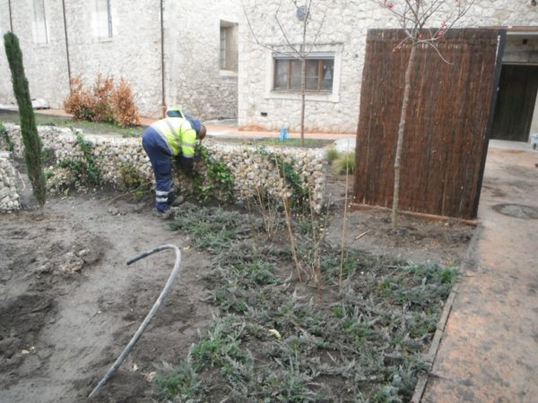 proyectos obras servicios jardineria biomasa integra ambiental 26