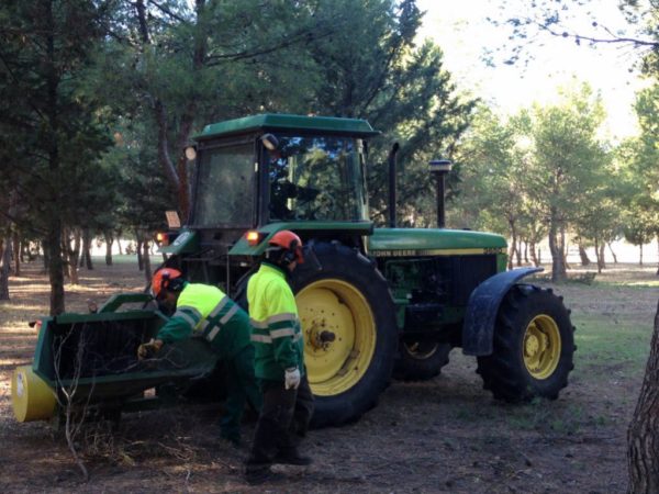 proyectos obras servicios jardineria biomasa integra ambiental 29